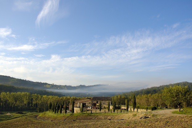 Chianti Classico Rocca Delle Macie 2007