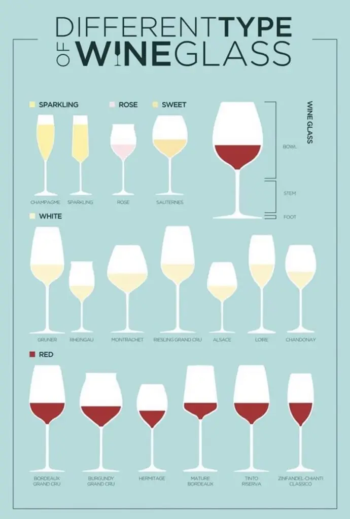 Diferentes tipos de taças de vinho
